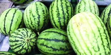 瓜可真甜吃瓜群众,揭秘吃瓜群众的欢乐世界