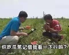 吃瓜社会事件,揭秘吃瓜群众的狂欢盛宴