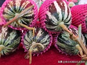 济南章丘吃瓜,探寻济南章丘特色美食之旅