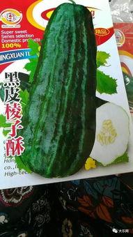 黑皮酥瓜怎么吃,解锁夏日清新美味