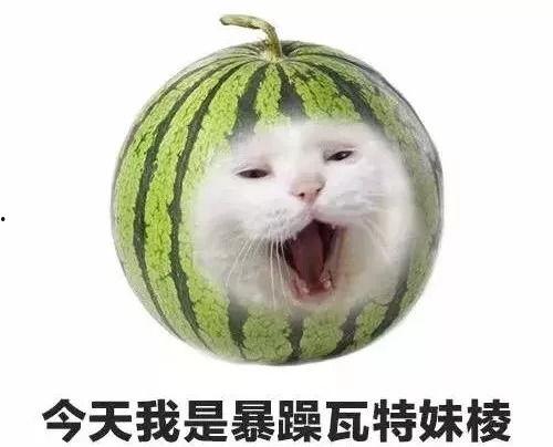 暴躁吃瓜松原,揭秘网络红人的火爆日常