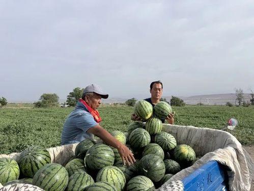 2005年吃瓜,吃瓜群众的狂欢岁月