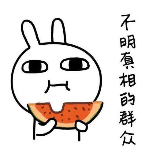 初次约会围观吃瓜,一场甜蜜与吃瓜的较量